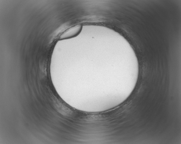 X0000076421451200611031801