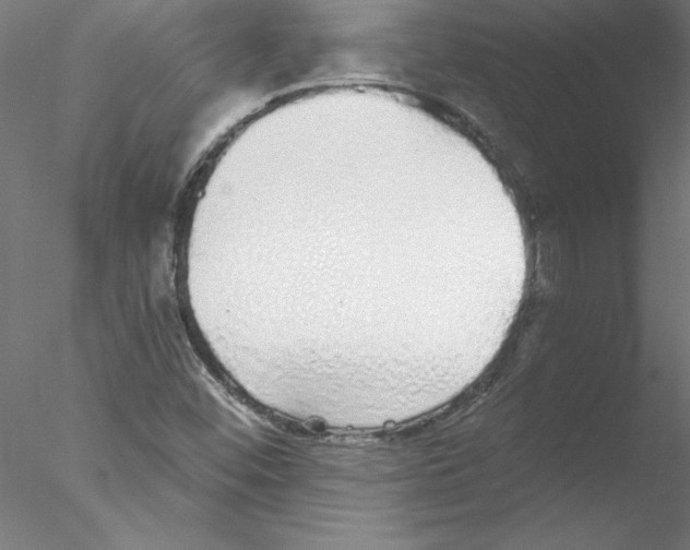 X0000076421452200611031801