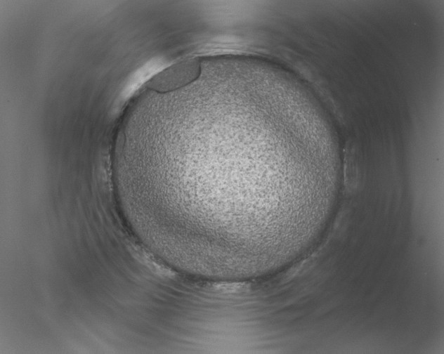 X0000076421453200611031801