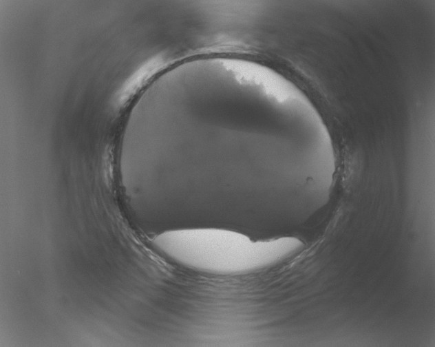 X0000076421455200611031801