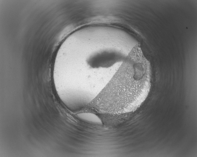 X0000076421459200611031801