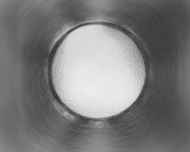 X0000076421460200611031801