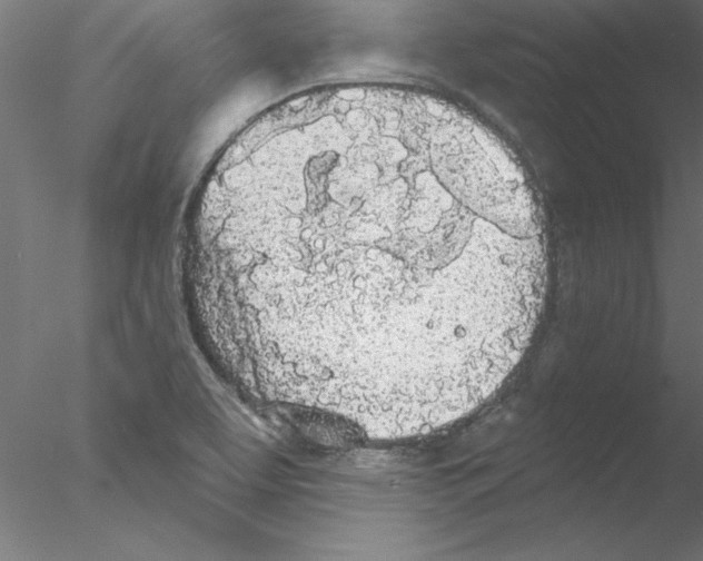 X0000076421463200611031801