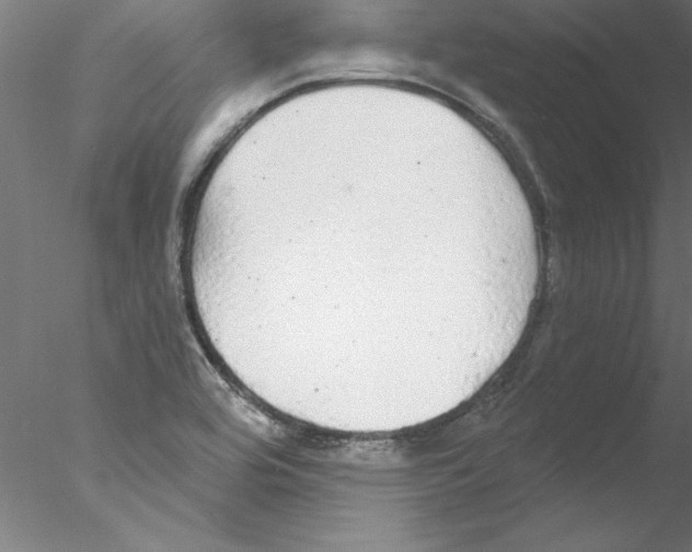 X0000076421464200611031801