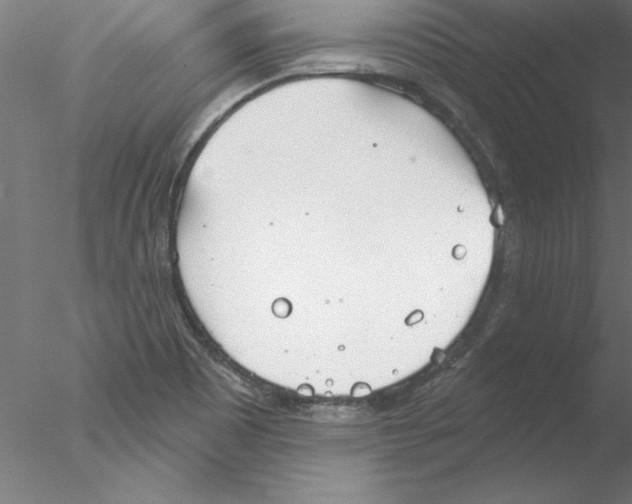 X0000076421465200611031801