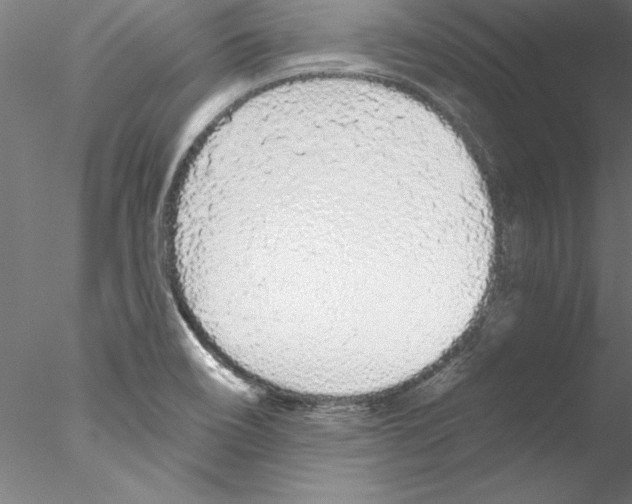 X0000076421466200611031801