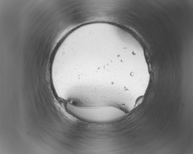 X0000076421468200611031801