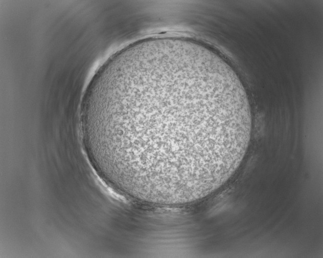 X0000076421470200611031801