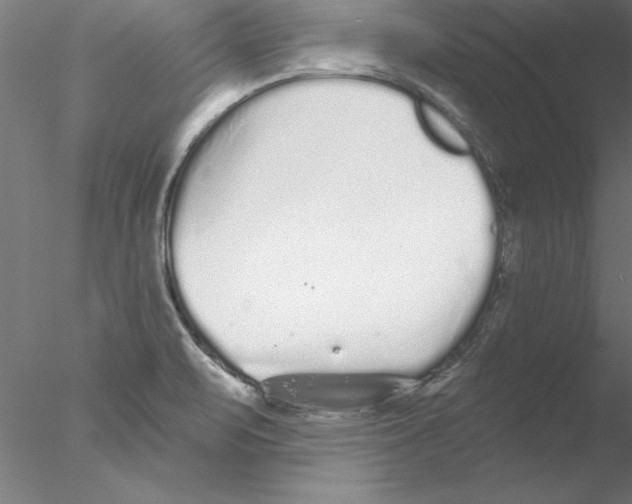 X0000076421471200611031801