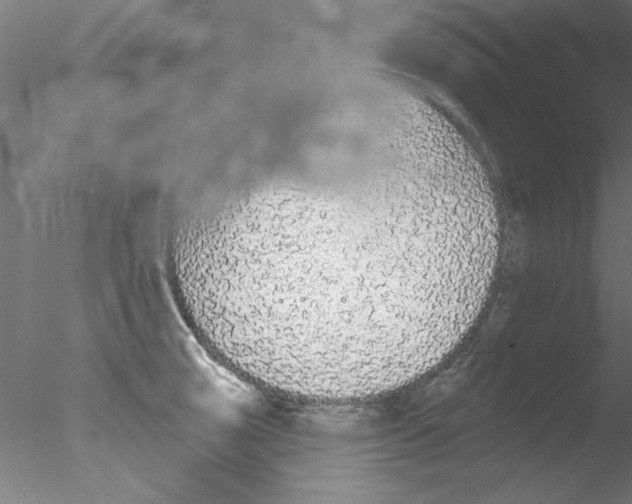 X0000076421474200611031801