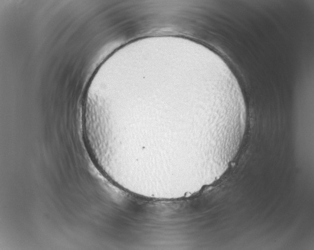 X0000076421476200611031801