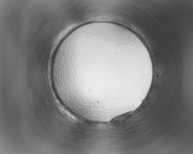 X0000076421480200611031800