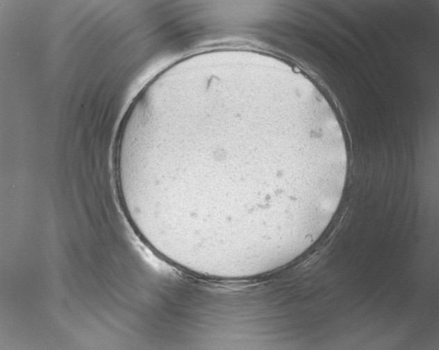 X0000076421482200611031800