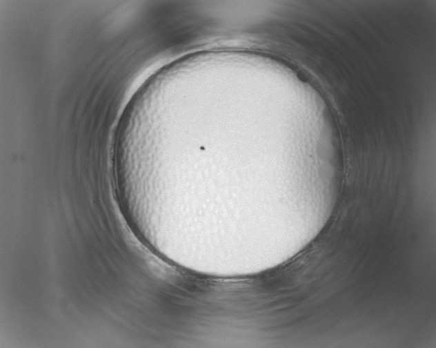 X0000076421483200611031800