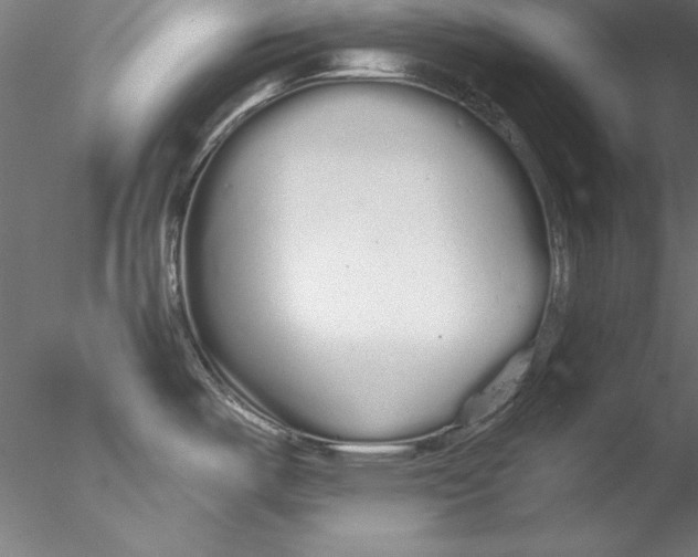 X0000076421487200611031800