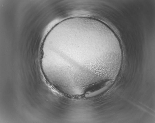 X0000076421488200611031800