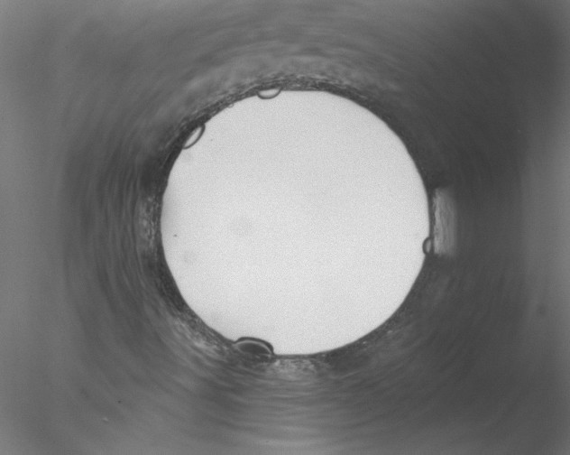 X0000076421491200611031800