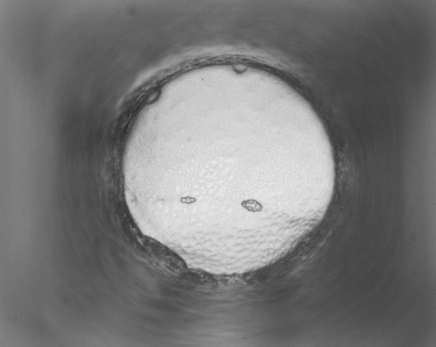 X0000076421494200611031800