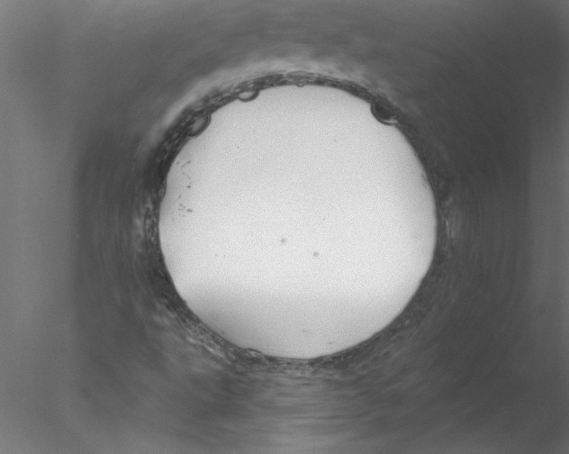 X0000076421495200611031800