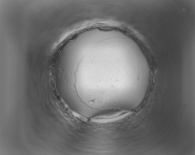 X0000076421496200611031800