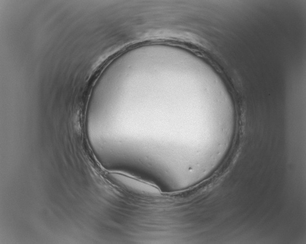 X0000076421497200611031800