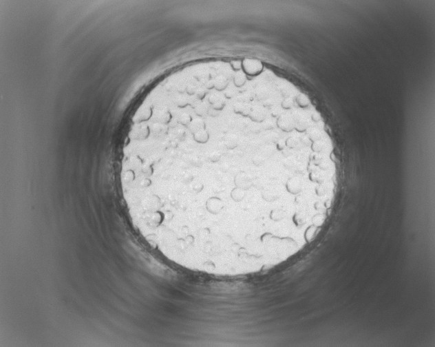 X0000076421498200611031800