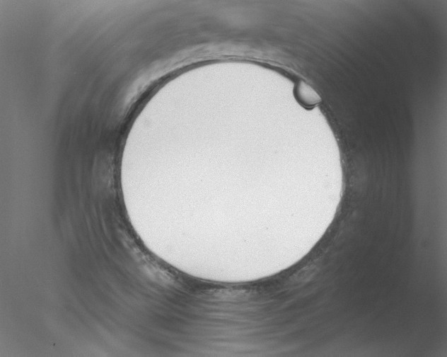 X0000076421499200611031800