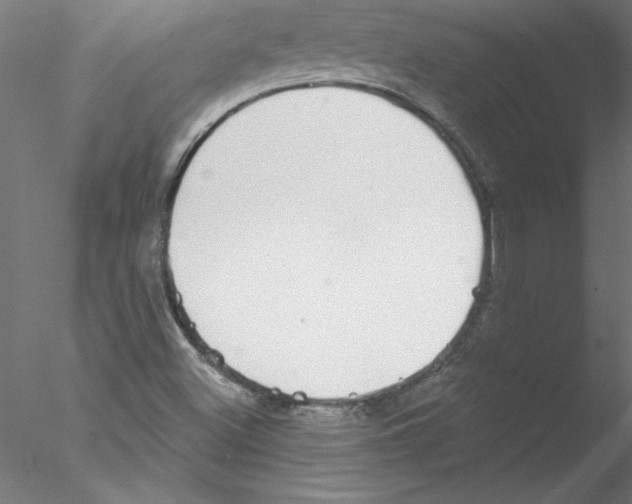 X0000076421500200611031800