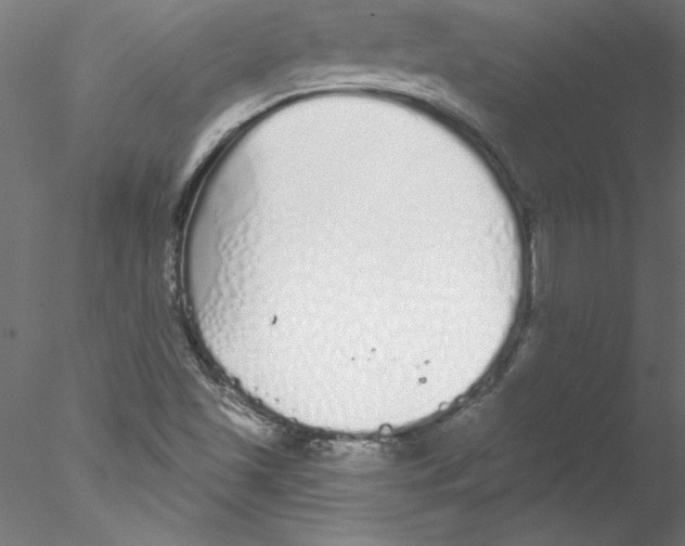 X0000076421501200611031800