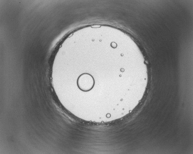 X0000076421502200611031800