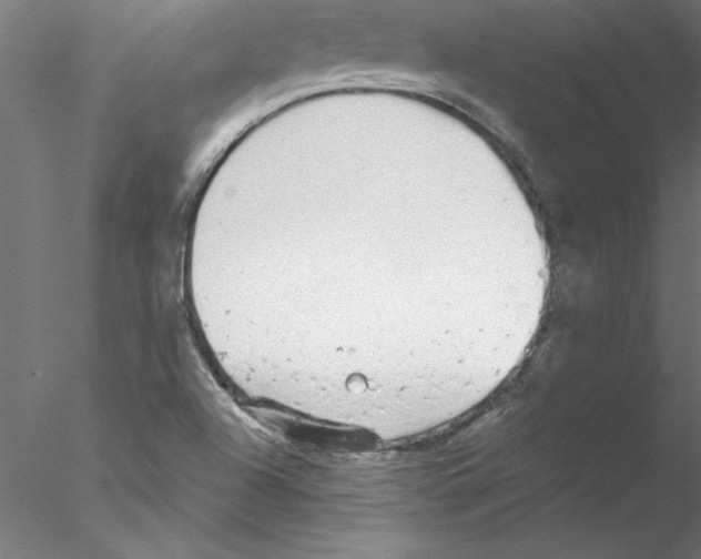 X0000076421504200611031800