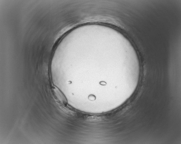 X0000076421505200611031800