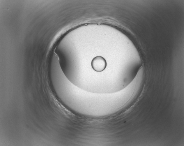 X0000076421506200611031800