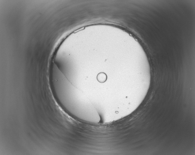 X0000076421508200611031800