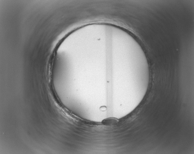 X0000076421510200611031800