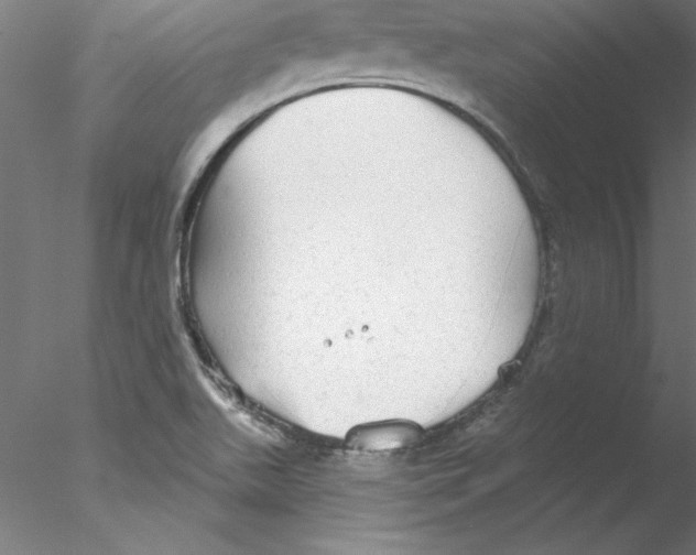 X0000076421511200611031800