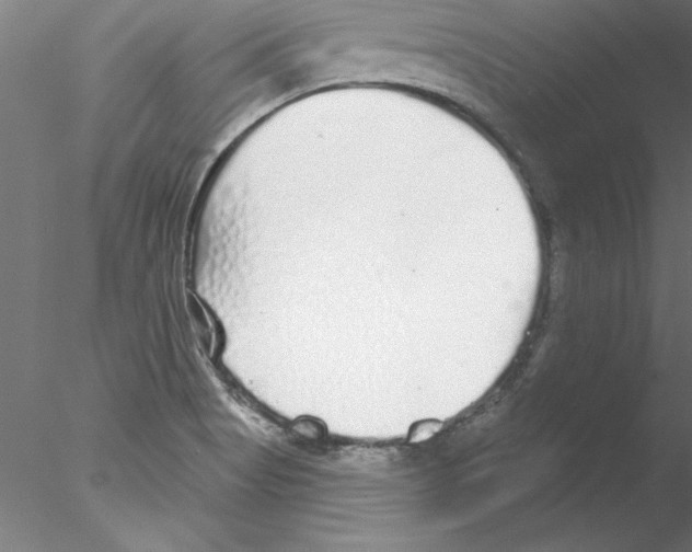 X0000076421513200611031800