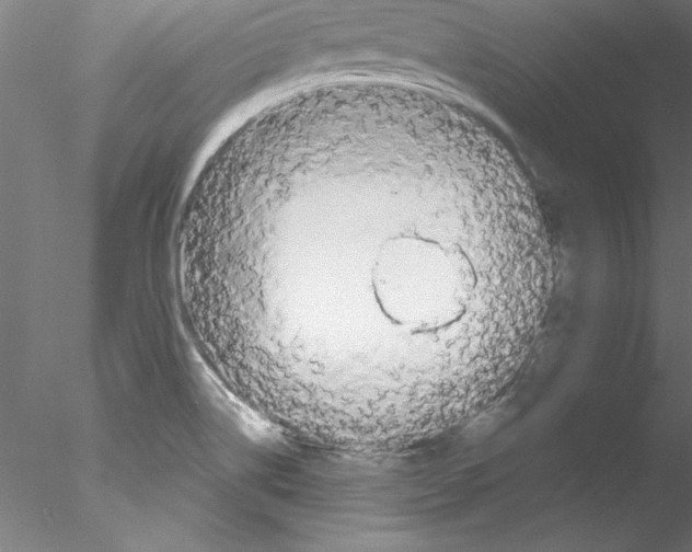 X0000076421514200611031800