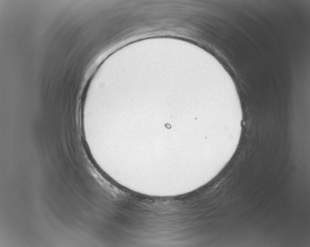 X0000076421516200611031800