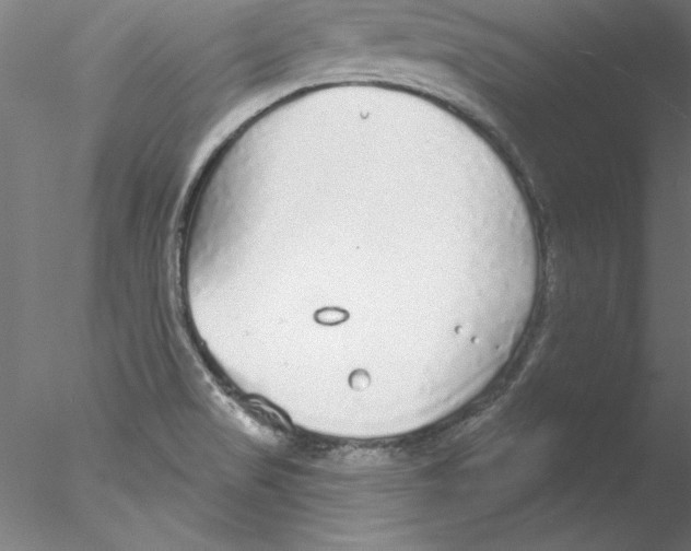 X0000076421517200611031800