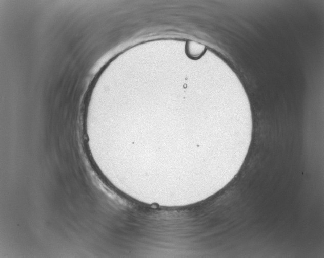 X0000076421518200611031800