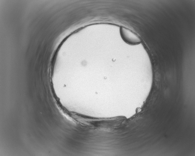 X0000076421519200611031800