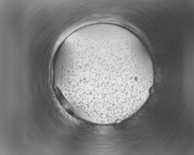 X0000076421520200611031800