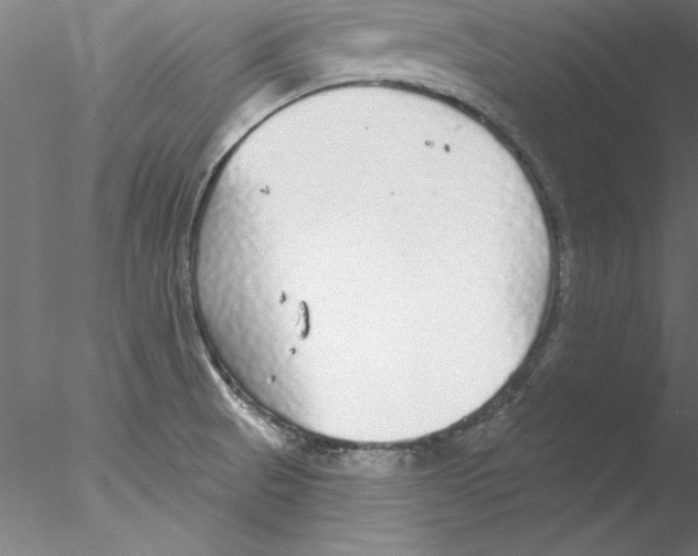 X0000076421521200611031800