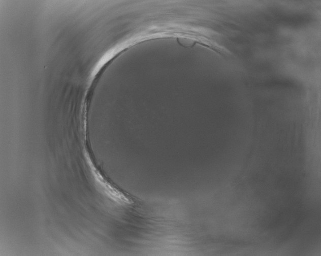 X0000076421522200611031800