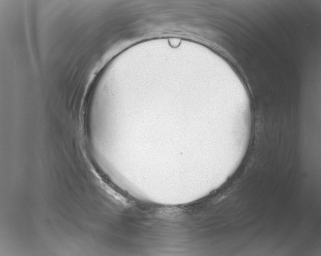 X0000076421525200611031800