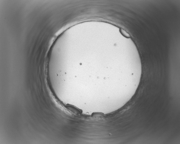 X0000076421526200611031800