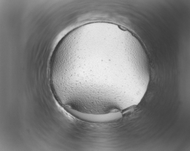 X0000076421527200611031800