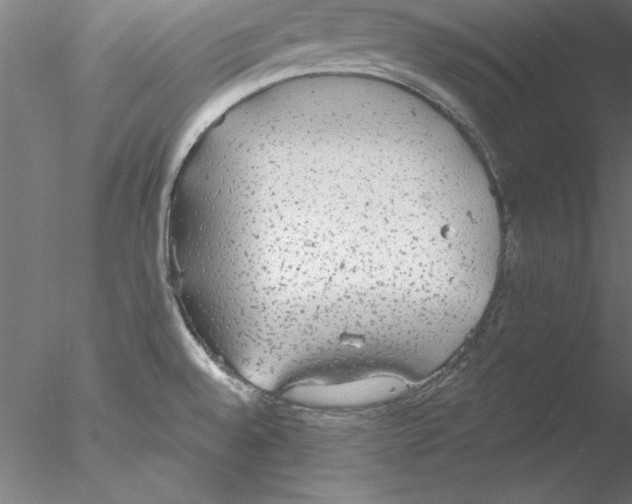 X0000076421528200611031800