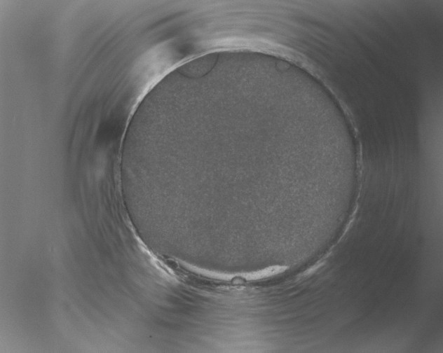 X0000076421529200611031800